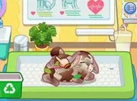 Rabbit Rescue & Style Studio